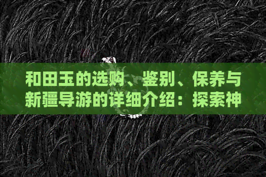 和田玉的选购、鉴别、保养与新疆导游的详细介绍：探索神秘的玉石文化