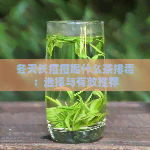 冬天长痘痘喝什么茶排：选择与有效推荐