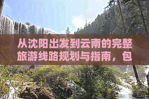 从沈阳出发到云南的完整旅游线路规划与指南，包括交通、住宿、景点推荐等