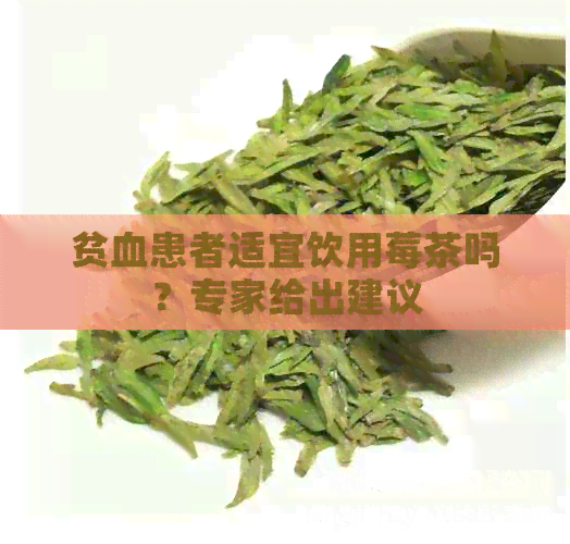 贫血患者适宜饮用莓茶吗？专家给出建议