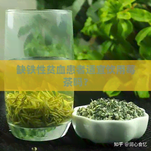 缺铁性贫血患者适宜饮用莓茶吗？