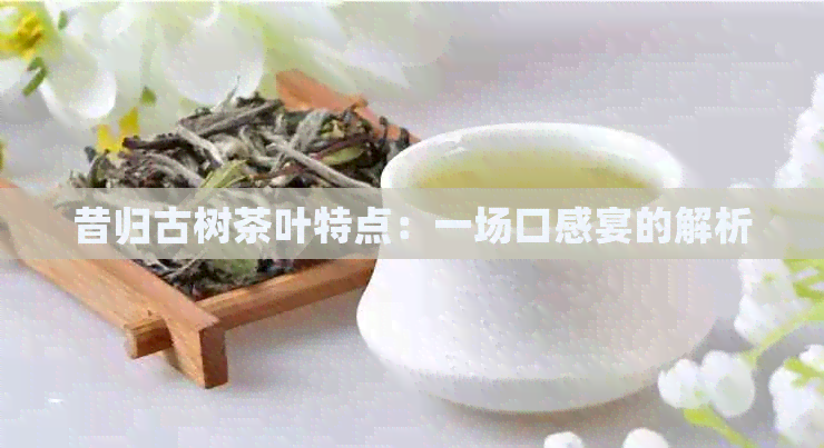 昔归古树茶叶特点：一场口感宴的解析