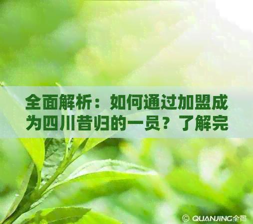 全面解析：如何通过加盟成为四川昔归的一员？了解完整的加盟流程和条件