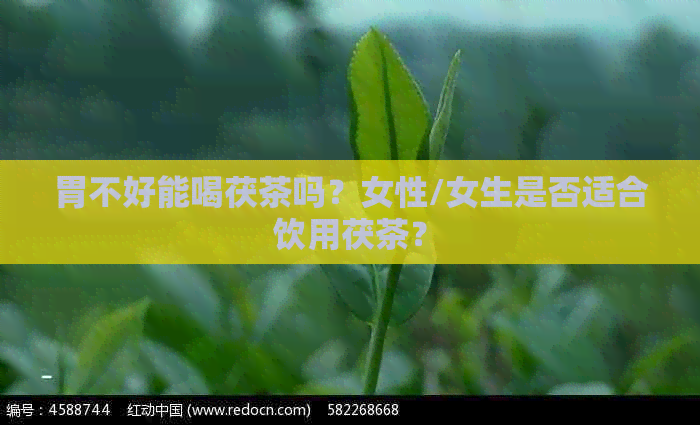 胃不好能喝茯茶吗？女性/女生是否适合饮用茯茶？