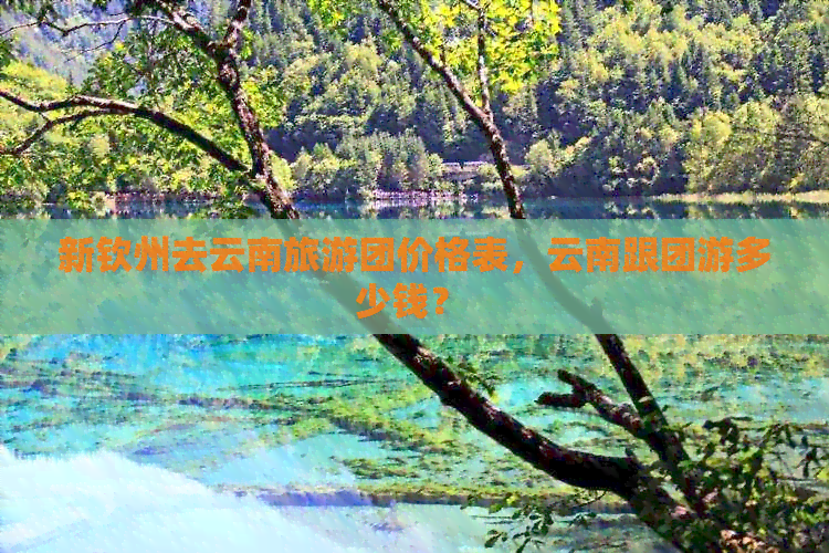 新钦州去云南旅游团价格表，云南跟团游多少钱？ 