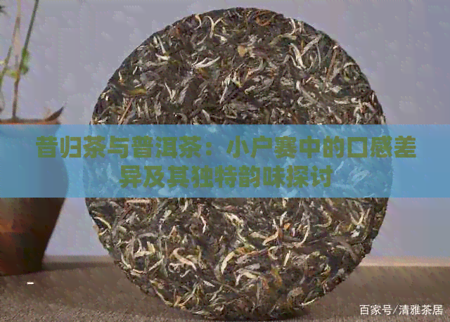 昔归茶与普洱茶：小户赛中的口感差异及其独特韵味探讨