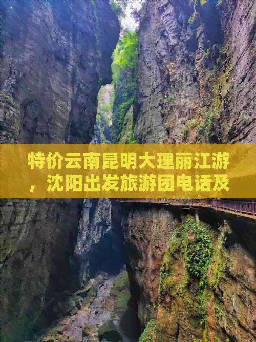 特价云南昆明大理丽江游，沈阳出发旅游团电话及报价