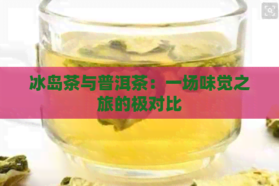 冰岛茶与普洱茶：一场味觉之旅的极对比