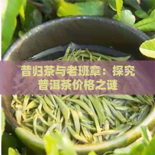 昔归茶与老班章：探究普洱茶价格之谜