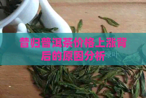 昔归普洱茶价格上涨背后的原因分析