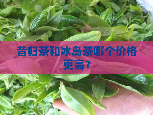 昔归茶和冰岛茶哪个价格更高？