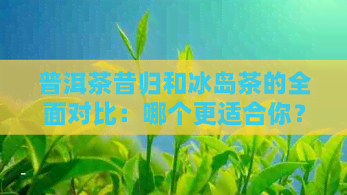 普洱茶昔归和冰岛茶的全面对比：哪个更适合你？