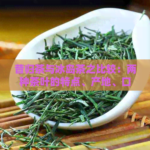 昔归茶与冰岛茶之比较：两种茶叶的特点、产地、口感及泡法全解析