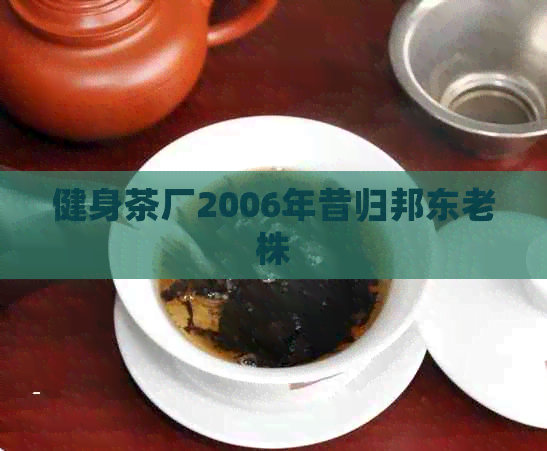 健身茶厂2006年昔归邦东老株