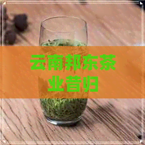 云南邦东茶业昔归