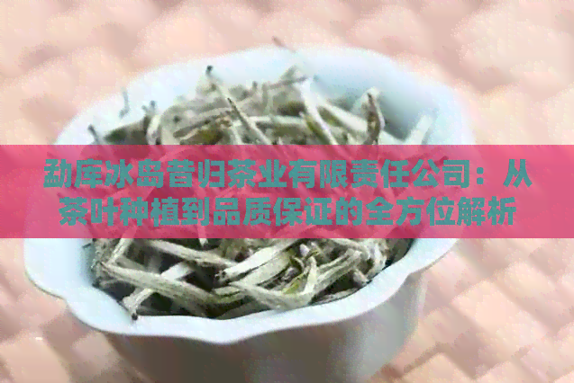 勐库冰岛昔归茶业有限责任公司：从茶叶种植到品质保证的全方位解析