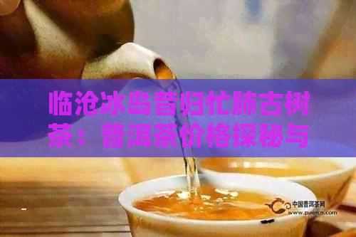 临沧冰岛昔归忙肺古树茶：普洱茶价格探秘与故事