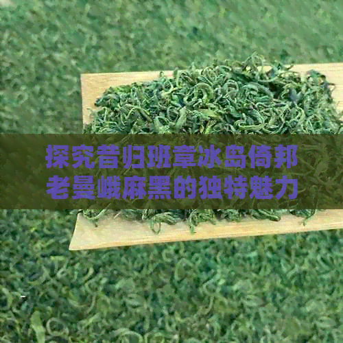 探究昔归班章冰岛倚邦老曼峨麻黑的独特魅力与最显著特征