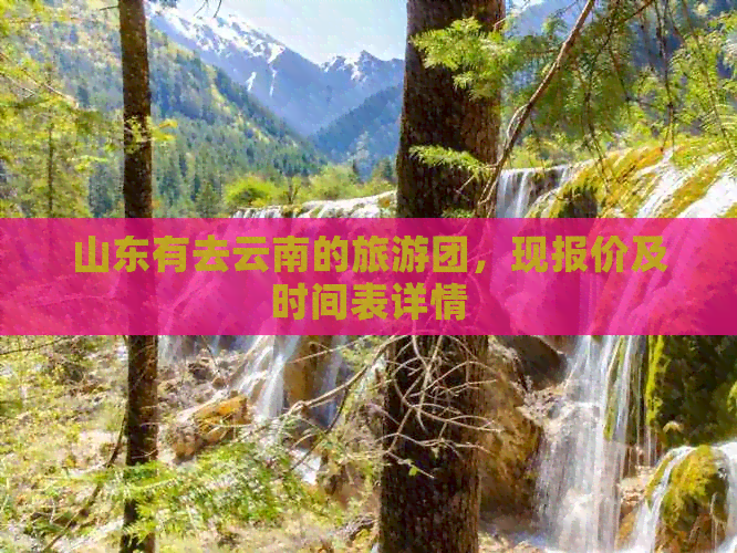 山东有去云南的旅游团，现报价及时间表详情