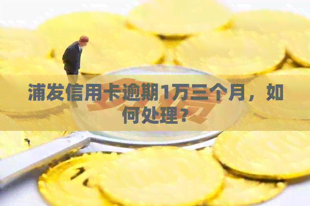 浦发信用卡逾期1万三个月，如何处理？