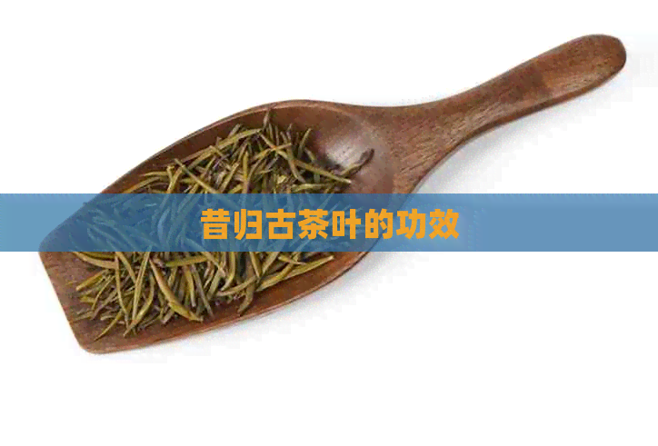 昔归古茶叶的功效