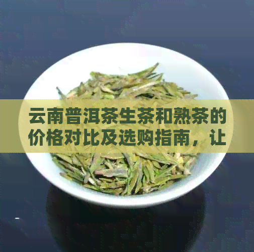 云南普洱茶生茶和熟茶的价格对比及选购指南，让你轻松了解茶叶行情