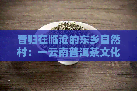 昔归在临沧的东乡自然村：一云南普洱茶文化的历回溯