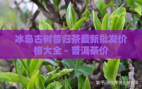 冰岛古树昔归茶最新批发价格大全 - 普洱茶价