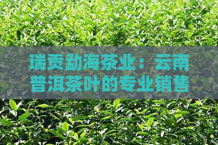 瑞贡勐海茶业：云南普洱茶叶的专业销售与生产