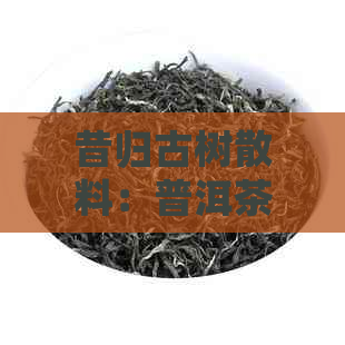 昔归古树散料：普洱茶的醇厚口感与独特风味探析