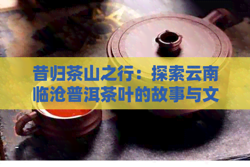 昔归茶山之行：探索云南临沧普洱茶叶的故事与文化