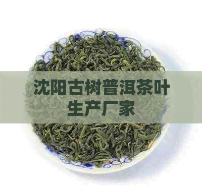 沈阳古树普洱茶叶生产厂家