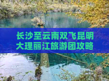 长沙至云南双飞昆明大理丽江旅游团攻略