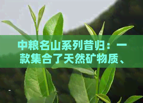 中粮名山系列昔归：一款     了天然矿物质、丰富口感和健价值的茶叶精选。