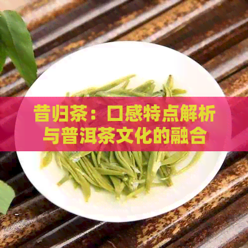 昔归茶：口感特点解析与普洱茶文化的融合