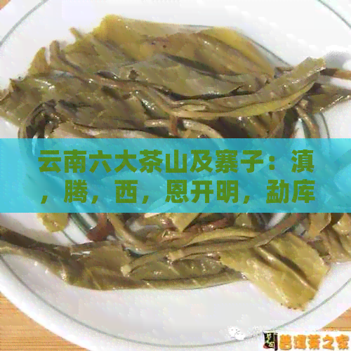 云南六大茶山及寨子：滇，腾，西，恩开明，勐库，勐海。