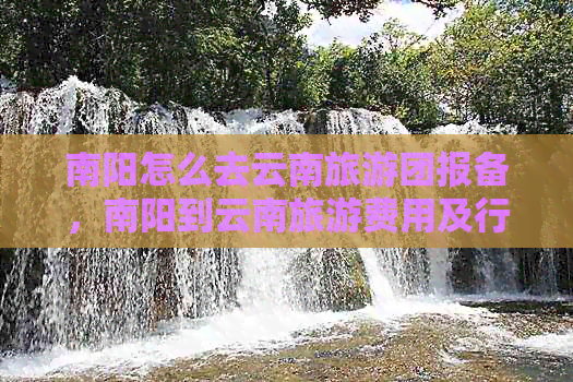 南阳怎么去云南旅游团报备，南阳到云南旅游费用及行程攻略