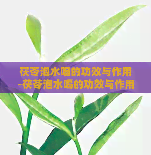 茯苓泡水喝的功效与作用-茯苓泡水喝的功效与作用一次放多少