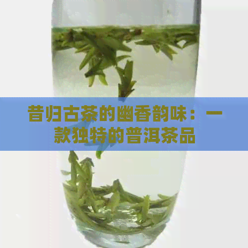 昔归古茶的幽香韵味：一款独特的普洱茶品