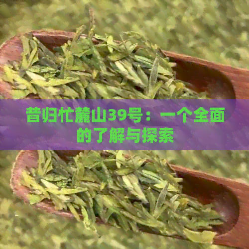 昔归忙麓山39号：一个全面的了解与探索