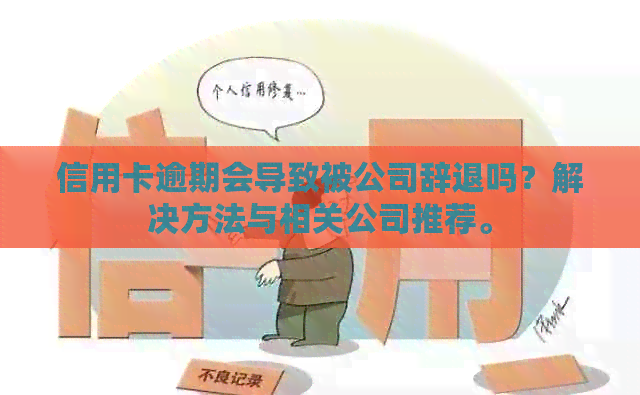 信用卡逾期会导致被公司辞退吗？解决方法与相关公司推荐。