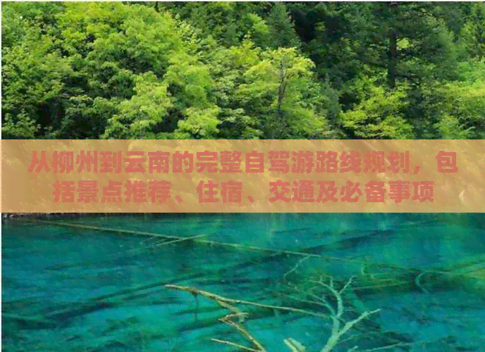 从柳州到云南的完整自驾游路线规划，包括景点推荐、住宿、交通及必备事项