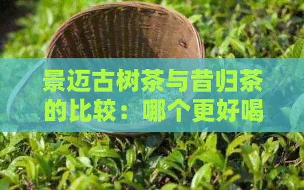 景迈古树茶与昔归茶的比较：哪个更好喝？区别是什么？