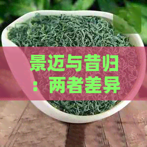 景迈与昔归：两者差异解析，助您全面了解两景区的异同