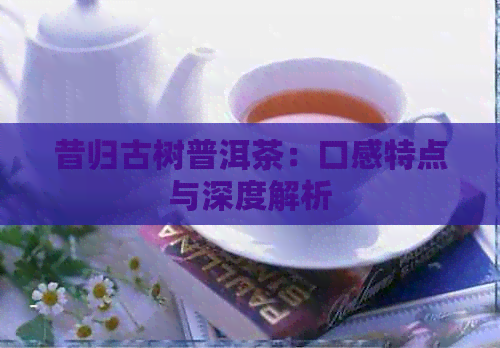 昔归古树普洱茶：口感特点与深度解析