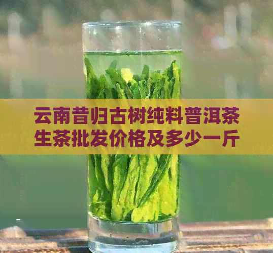 云南昔归古树纯料普洱茶生茶批发价格及多少一斤