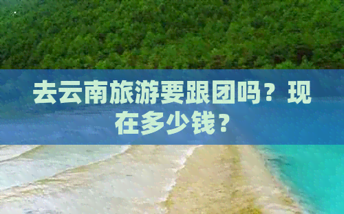 去云南旅游要跟团吗？现在多少钱？