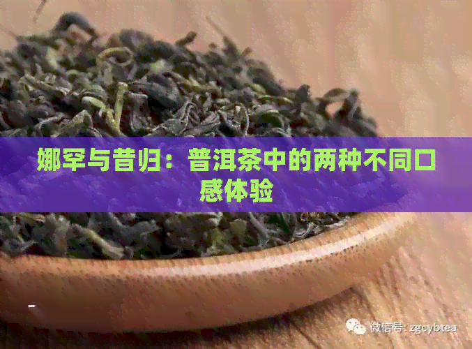 娜罕与昔归：普洱茶中的两种不同口感体验