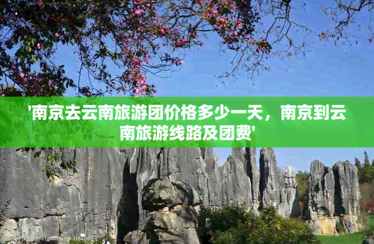 '南京去云南旅游团价格多少一天，南京到云南旅游线路及团费'