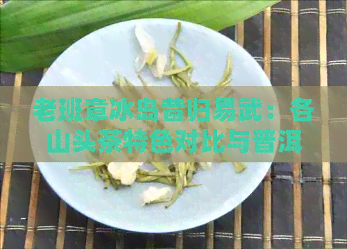 老班章冰岛昔归易武：各山头茶特色对比与普洱茶关系探究